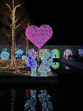 神戸イルミナージュに投稿された画像（2025/12/31）