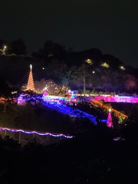 クリスマスファンタジー実行委員会に投稿された画像（2025/12/31）