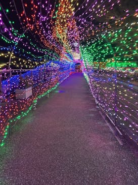 クリスマスファンタジー実行委員会に投稿された画像（2025/12/31）