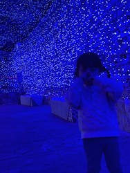 クリスマスファンタジー実行委員会に投稿された画像（2025/12/31）