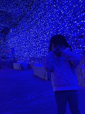 クリスマスファンタジー実行委員会に投稿された画像（2025/12/31）