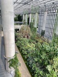 淡路夢舞台公苑温室あわじグリーン館に投稿された画像（2025/12/31）