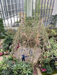 淡路夢舞台公苑温室あわじグリーン館に投稿された画像（2025/12/31）