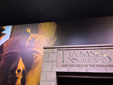 ACN ラムセス大王展 ファラオたちの黄金に投稿された画像（2025/12/31）