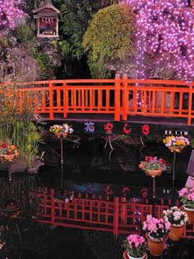 浅草花やしきに投稿された画像（2025/12/31）