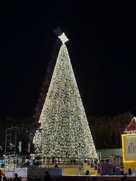 レオマリゾートに投稿された画像（2025/12/31）