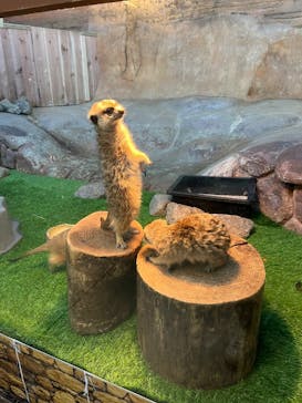 那須どうぶつ王国に投稿された画像（2025/12/31）