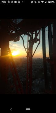 東京タワーに投稿された画像（2025/12/31）