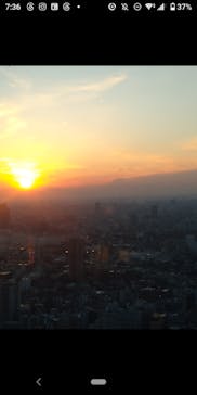 東京タワーに投稿された画像（2025/12/31）