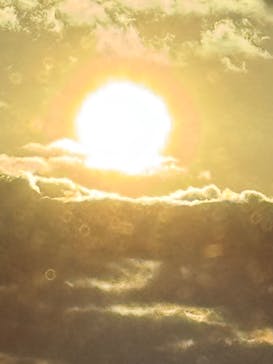 東京スカイツリーに投稿された画像（2025/12/31）