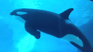 名古屋港水族館に投稿された画像（2025/12/31）