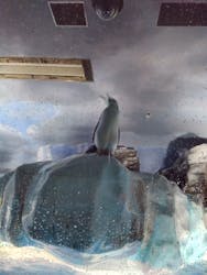 名古屋港水族館に投稿された画像（2025/12/31）