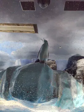 名古屋港水族館に投稿された画像（2025/12/31）