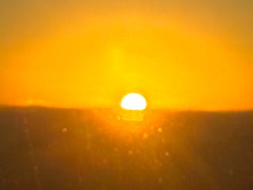 さきしまコスモタワー展望台に投稿された画像（2025/12/31）