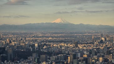 東京スカイツリーに投稿された画像（2025/12/31）