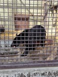 宇都宮動物園に投稿された画像（2026/1/1）