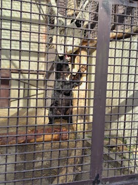 宇都宮動物園に投稿された画像（2026/1/1）