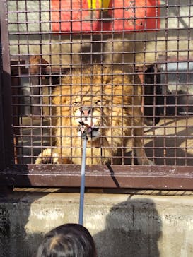 宇都宮動物園に投稿された画像（2026/1/1）