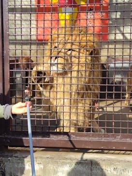 宇都宮動物園に投稿された画像（2026/1/1）