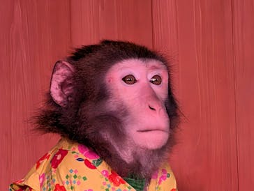 おさるの湯もみ処　おさ湯に投稿された画像（2026/1/1）