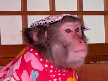 おさるの湯もみ処　おさ湯に投稿された画像（2026/1/1）