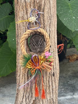 掛川花鳥園に投稿された画像（2026/1/1）