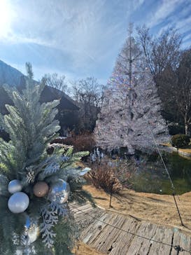 箱根ガラスの森美術館に投稿された画像（2026/1/1）