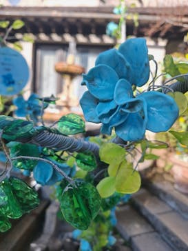 箱根ガラスの森美術館に投稿された画像（2026/1/1）