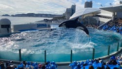 鴨川シーワールドに投稿された画像（2026/1/1）