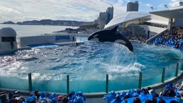 鴨川シーワールドに投稿された画像（2026/1/1）