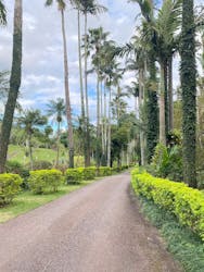 美らヤシパークオキナワ・東南植物楽園に投稿された画像（2026/1/1）