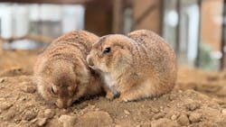 那須どうぶつ王国に投稿された画像（2026/1/1）