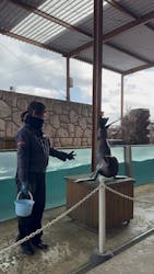 那須どうぶつ王国に投稿された画像（2026/1/1）