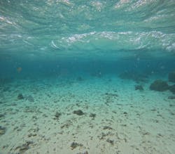 沖縄マリンサービス碧に投稿された画像（2026/1/1）