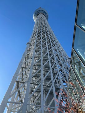 東京スカイツリーに投稿された画像（2026/1/1）