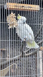 天王寺動物園に投稿された画像（2026/1/1）