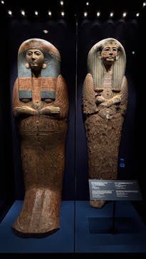 ACN ラムセス大王展 ファラオたちの黄金に投稿された画像（2026/1/1）