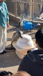 アクアワールド茨城県大洗水族館に投稿された画像（2026/1/1）