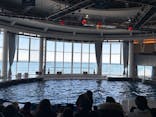 アクアワールド茨城県大洗水族館に投稿された画像（2026/1/1）