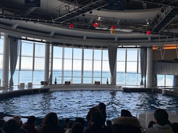 アクアワールド茨城県大洗水族館に投稿された画像（2026/1/1）