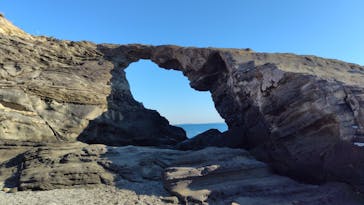 京急電鉄に投稿された画像（2026/1/1）