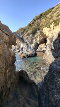 京急電鉄に投稿された画像（2026/1/1）