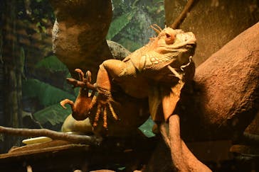 天王寺動物園に投稿された画像（2026/1/1）