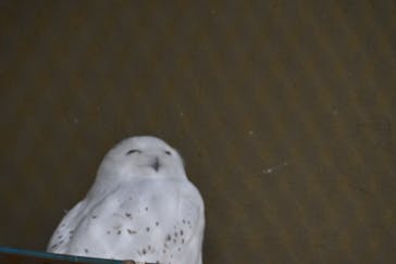 天王寺動物園に投稿された画像（2026/1/1）