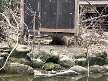 長崎バイオパークに投稿された画像（2026/1/1）