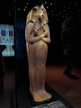 ACN ラムセス大王展 ファラオたちの黄金に投稿された画像（2026/1/1）