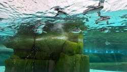 天王寺動物園に投稿された画像（2026/1/1）