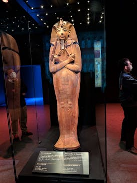 ACN ラムセス大王展 ファラオたちの黄金に投稿された画像（2026/1/1）