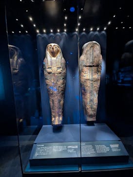 ACN ラムセス大王展 ファラオたちの黄金に投稿された画像（2026/1/1）