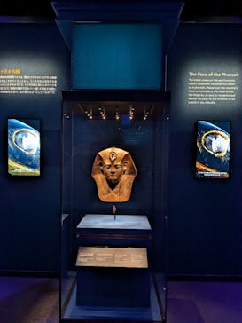ACN ラムセス大王展 ファラオたちの黄金に投稿された画像（2026/1/1）